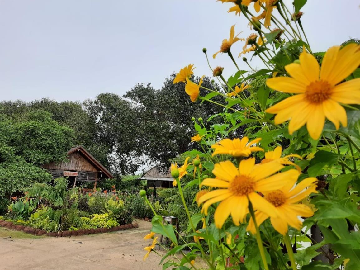 Beach Lagoon Parans Hotel Arugam Bay Exterior photo